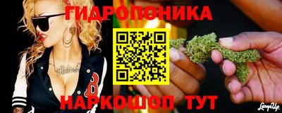 каннабис Новодвинск