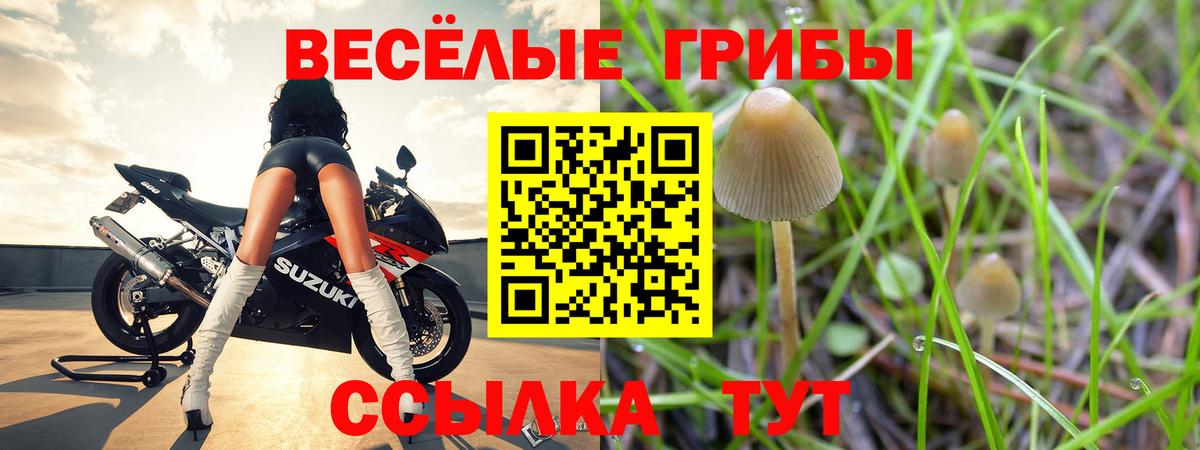Баксан  Псилоцибиновые грибы MAGIC MUSHROOMS  Галлюциногенные грибы GOLDEN TEACHER  Вход с VPN 