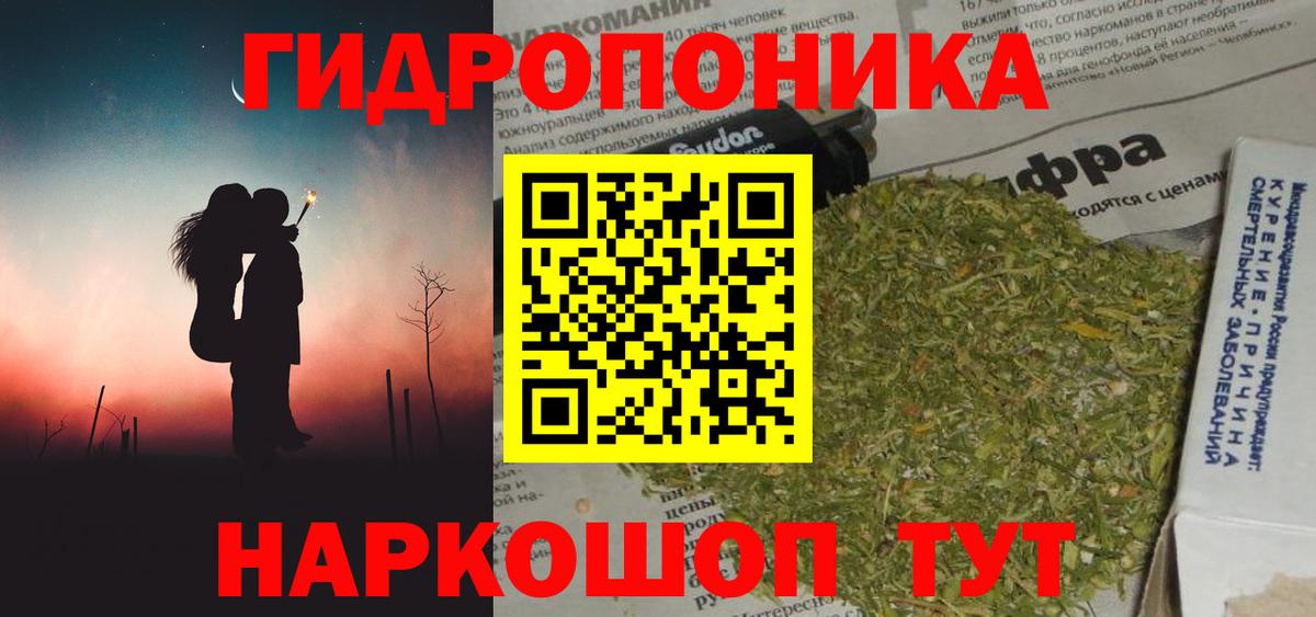 Бошки Шишки план  Марихуана сатива  Конопля семена  Баксан  Вход с VPN 